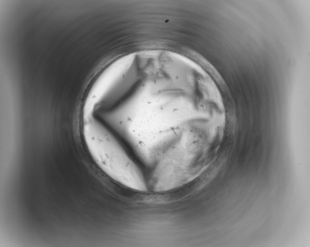 X0000101101002200807241024