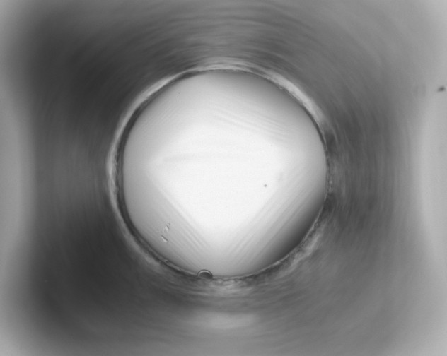 X0000101101003200807241024