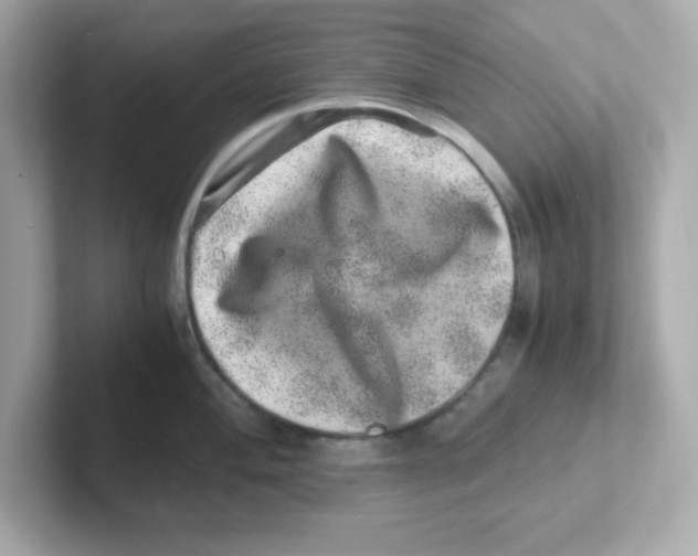 X0000101101004200807241024