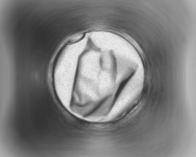 X0000101101005200807241024