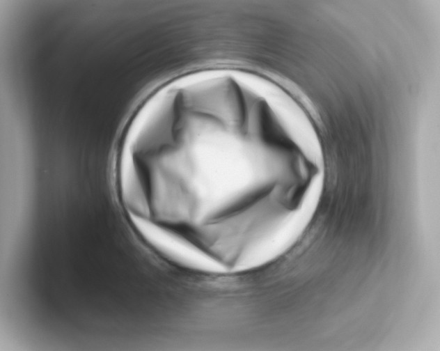X0000101101006200807241024