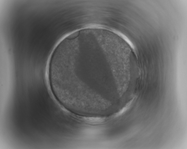 X0000101101007200807241024