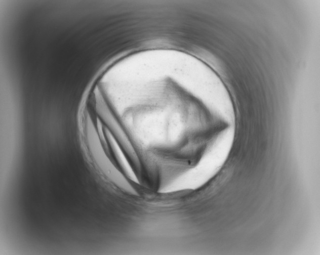 X0000101101008200807241024