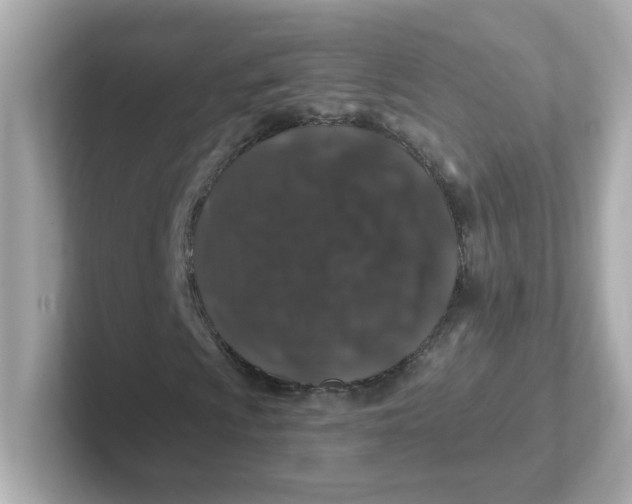 X0000101101009200807241023