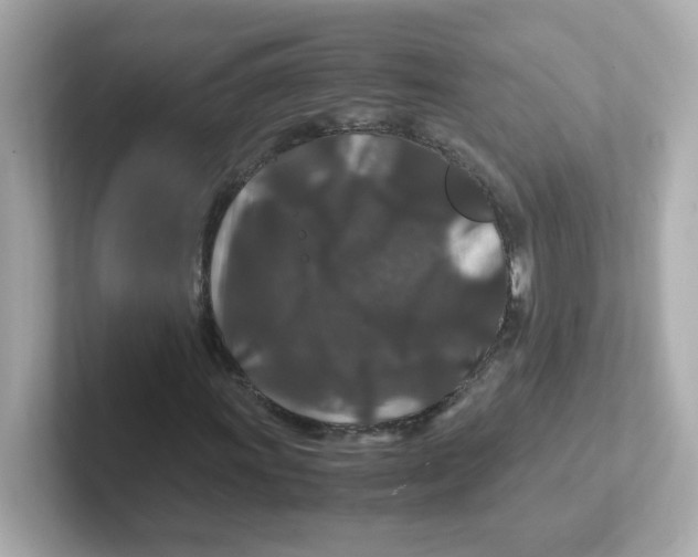 X0000101101011200807241023