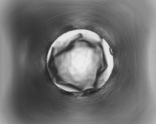 X0000101101012200807241023