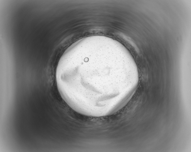 X0000101101015200807241023