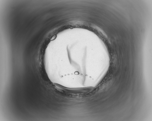 X0000101101016200807241023