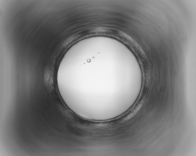 X0000101101017200807241023