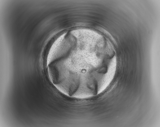 X0000101101019200807241023