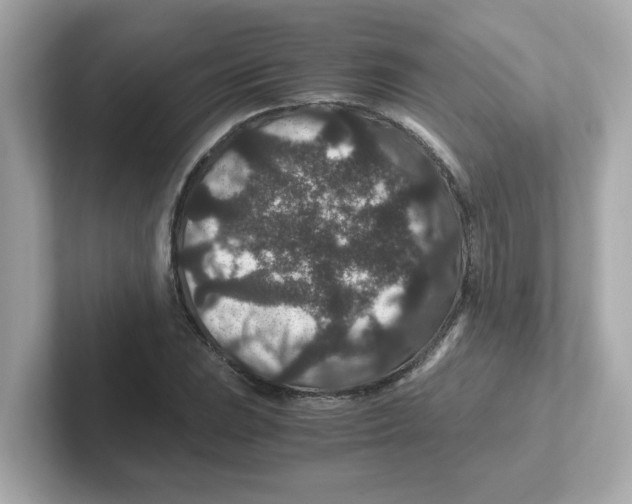 X0000101101023200807241024