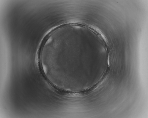 X0000101101024200807241024
