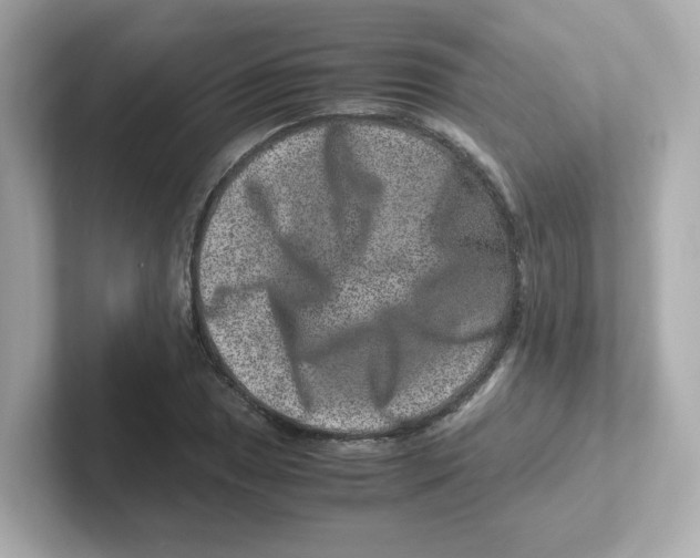 X0000101101025200807241024