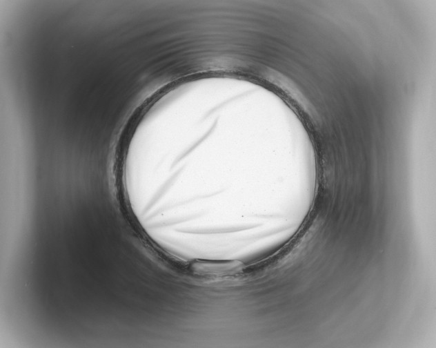 X0000101101026200807241024
