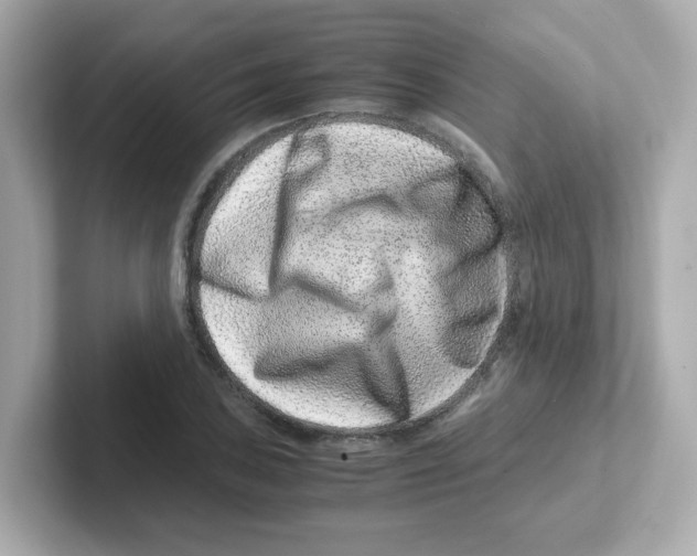 X0000101101027200807241024