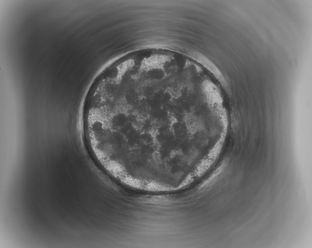 X0000101101028200807241024
