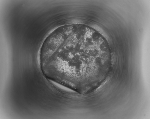 X0000101101031200807241024