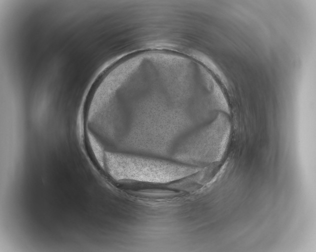 X0000101101032200807241024