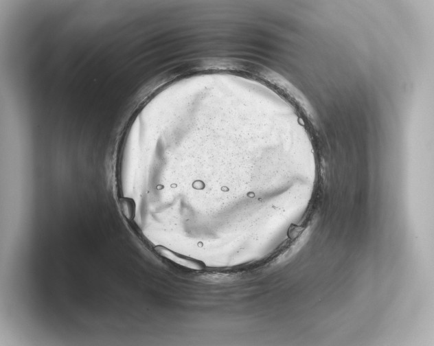X0000101101033200807241024