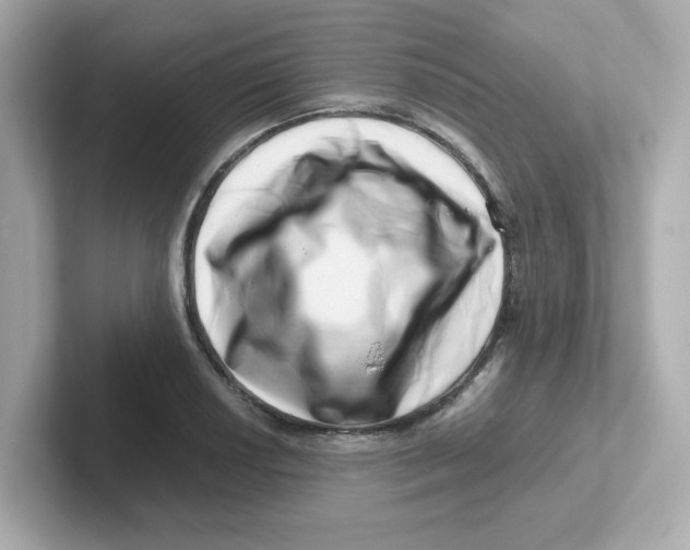 X0000101101034200807241024