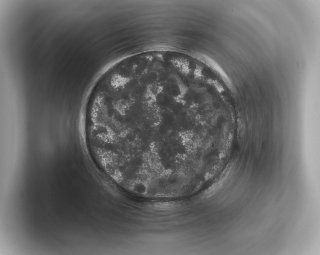 X0000101101035200807241024
