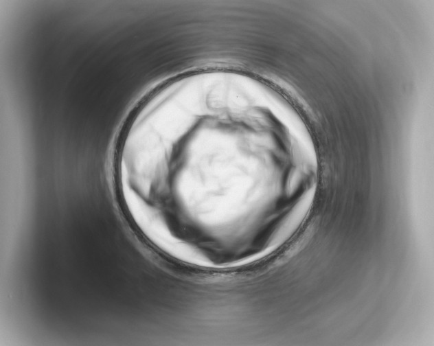 X0000101101038200807241024