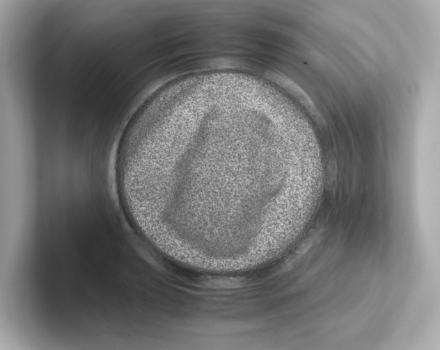 X0000101101039200807241024