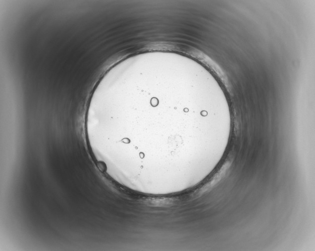 X0000101101041200807241024
