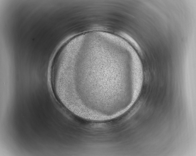 X0000101101043200807241024