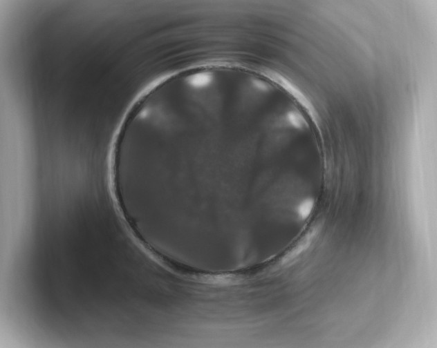 X0000101101045200807241024