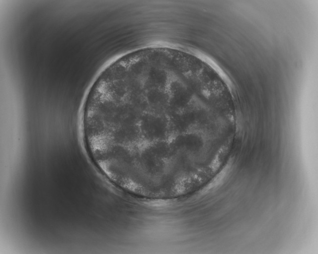 X0000101101048200807241024