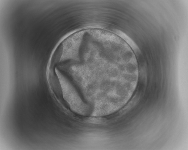 X0000101101052200807241024