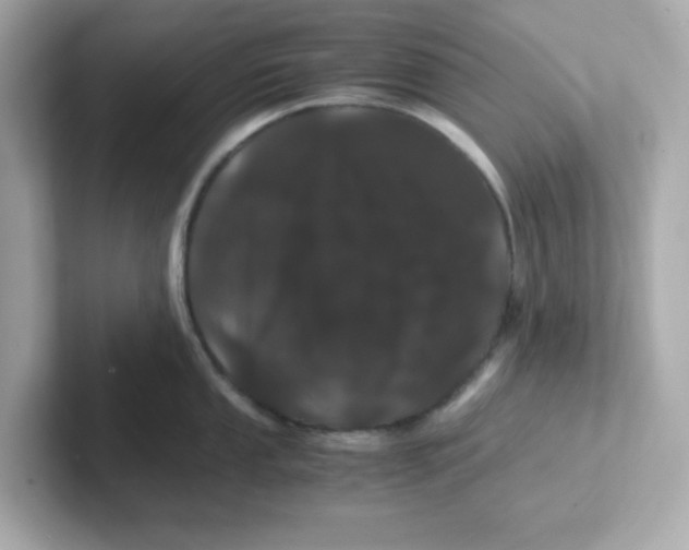 X0000101101053200807241024