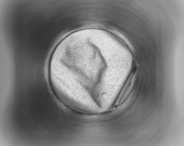 X0000101101054200807241024
