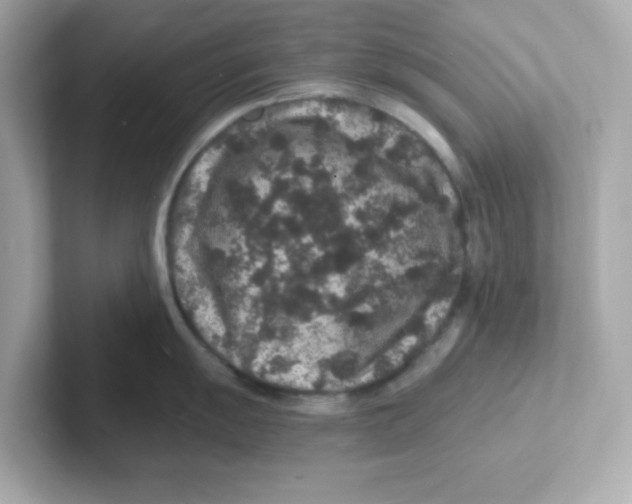 X0000101101055200807241024
