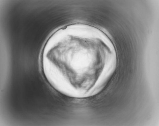 X0000101101056200807241024