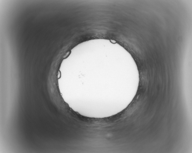 X0000101101057200807241023