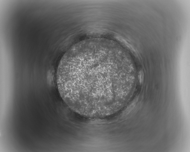 X0000101101059200807241023