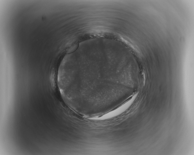 X0000101101060200807241023