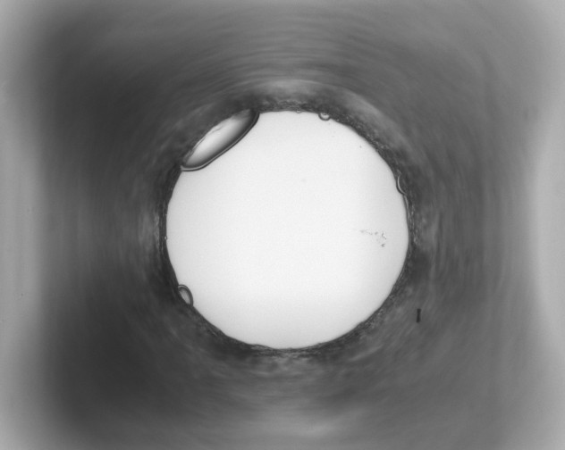 X0000101101061200807241023