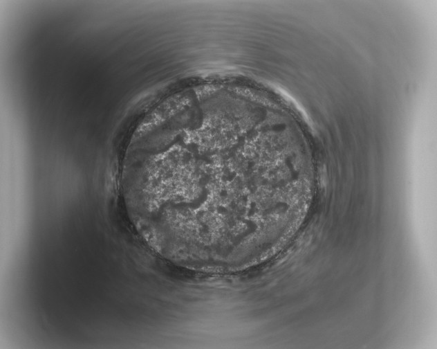 X0000101101063200807241023