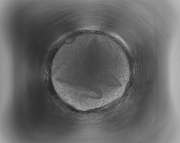 X0000101101064200807241023
