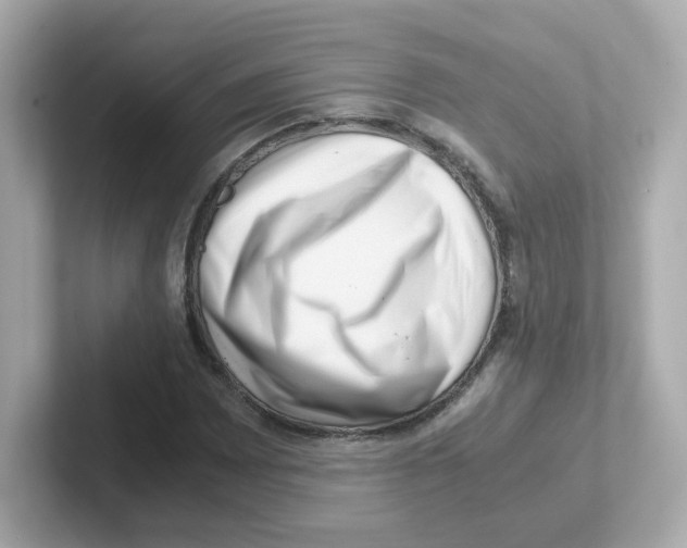 X0000101101065200807241023