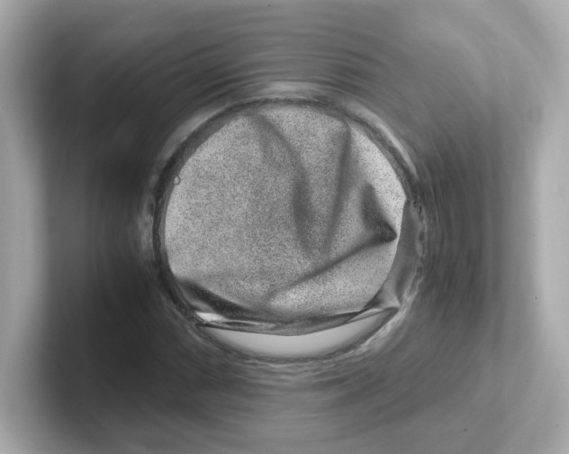 X0000101101066200807241023
