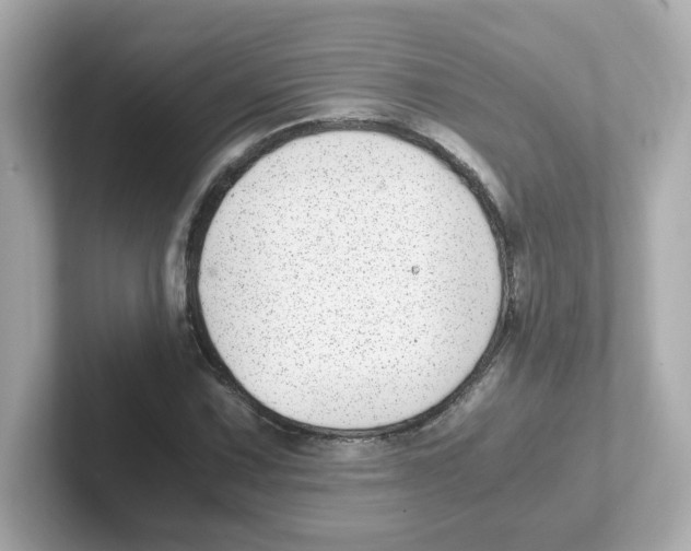 X0000101101067200807241023