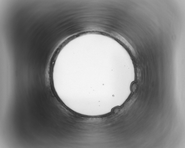 X0000101101068200807241023