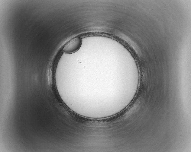 X0000101101069200807241023