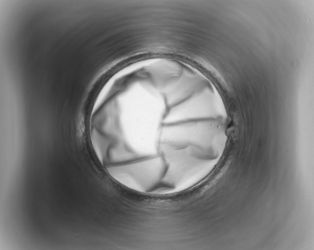 X0000101101070200807241023