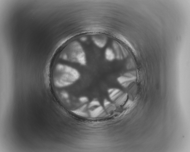 X0000101101071200807241023