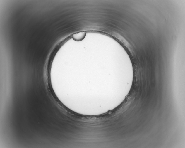 X0000101101072200807241023